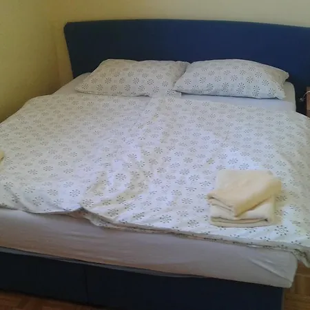 Butinar 6090 Catez ob Savi